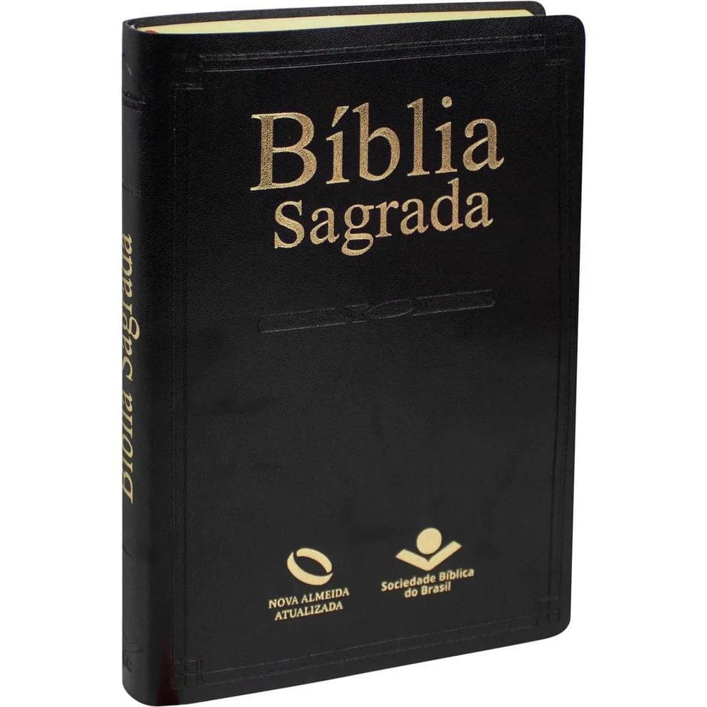 10X Bíblia Sagrada Nova Almeida Atualizada  Naa  Capa Couro
