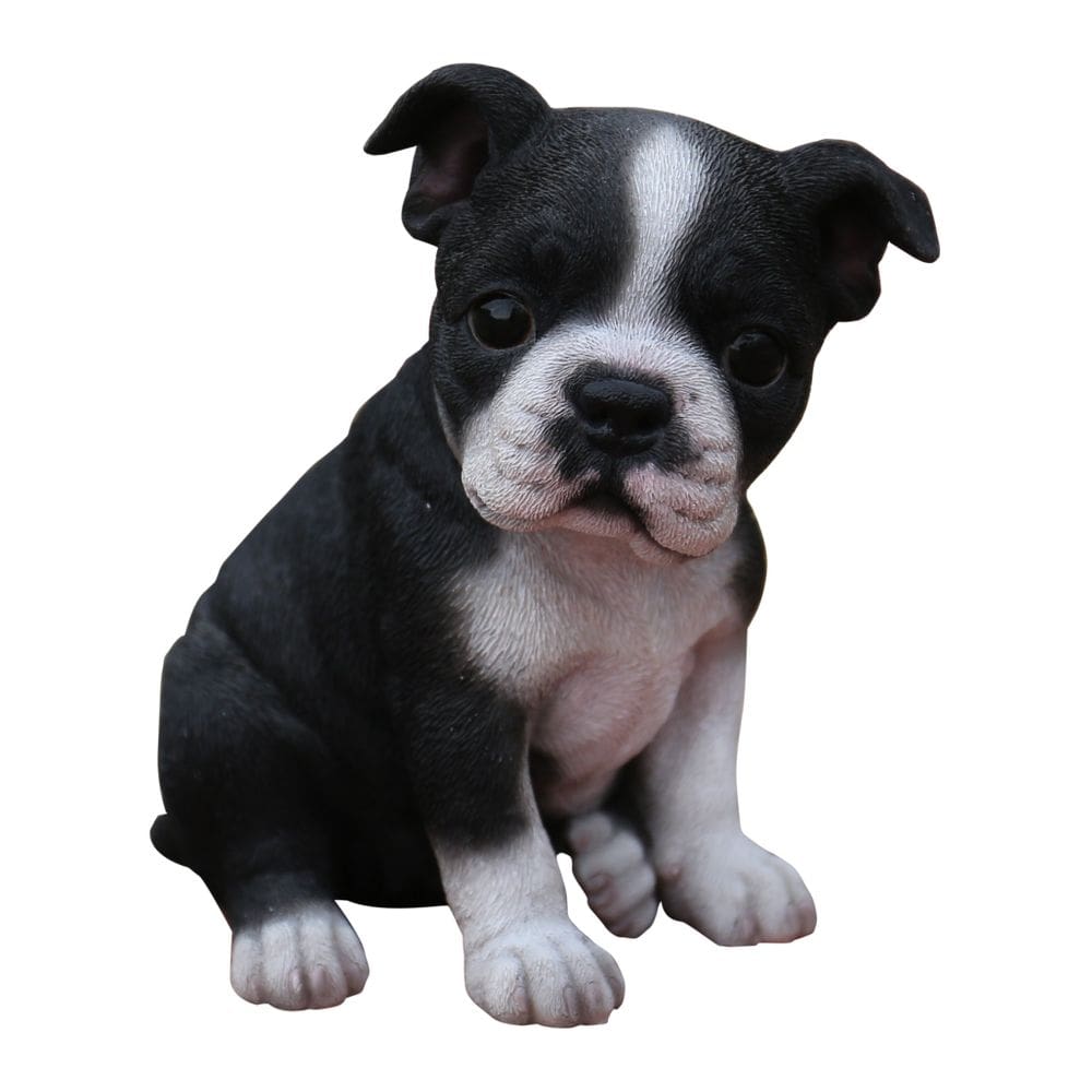 Estatueta de cachorrinho Hi-Line Gift Ltd Boston Terrier