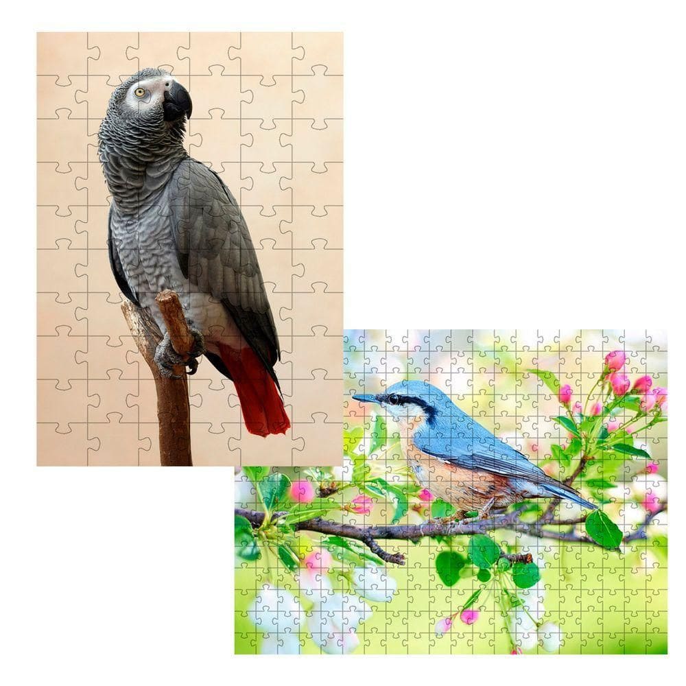 Kit 2 Quebra-cabeça Inclusivos Beleza Dos Pássaros Em 24 Peças Grandes