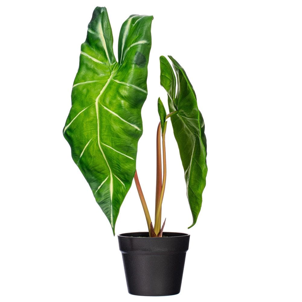 Planta artificial Alocasia Zebrina Vickerman 61x43 cm com vaso