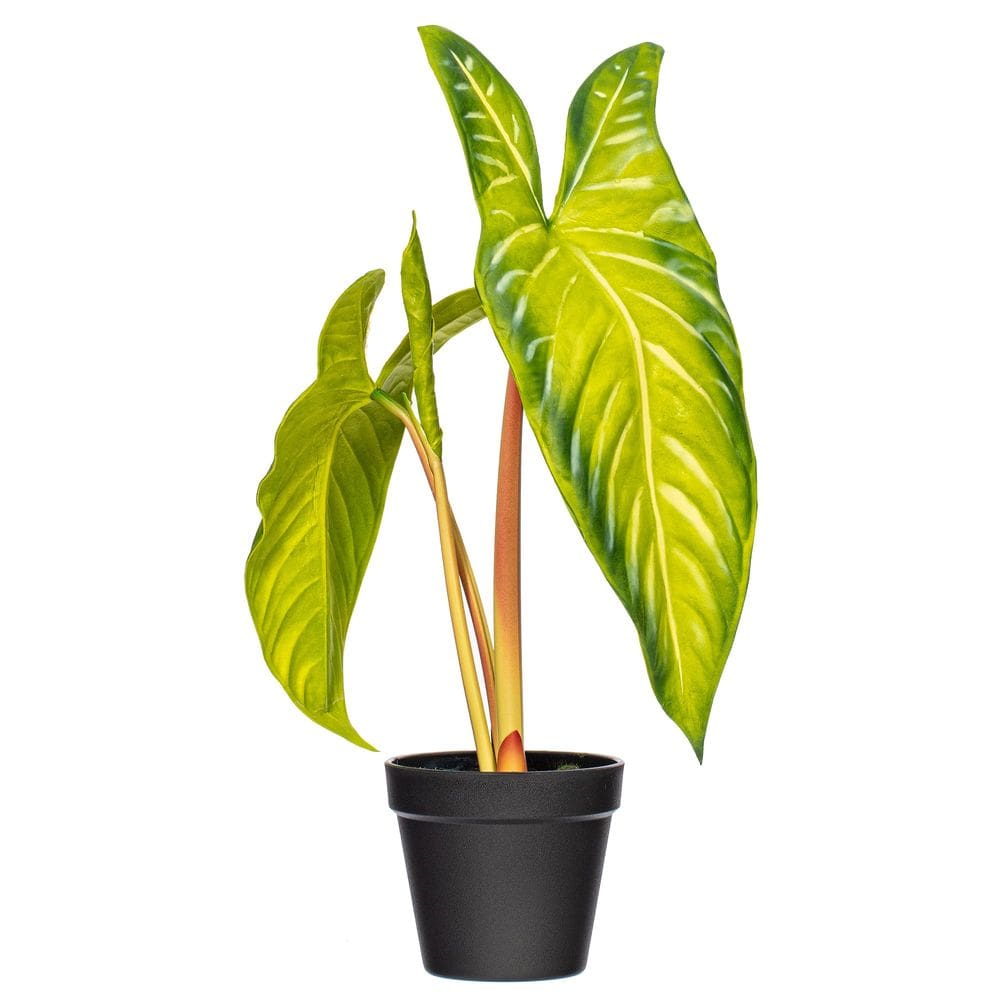 Planta artificial Alocasia Frydek Vickerman 43x30cm com vaso
