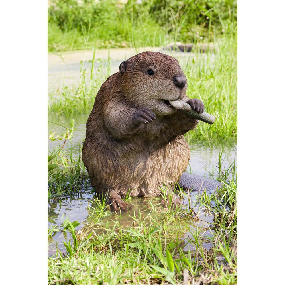 Estatueta Hi-Line Gift American Beaver Brown Polyresin