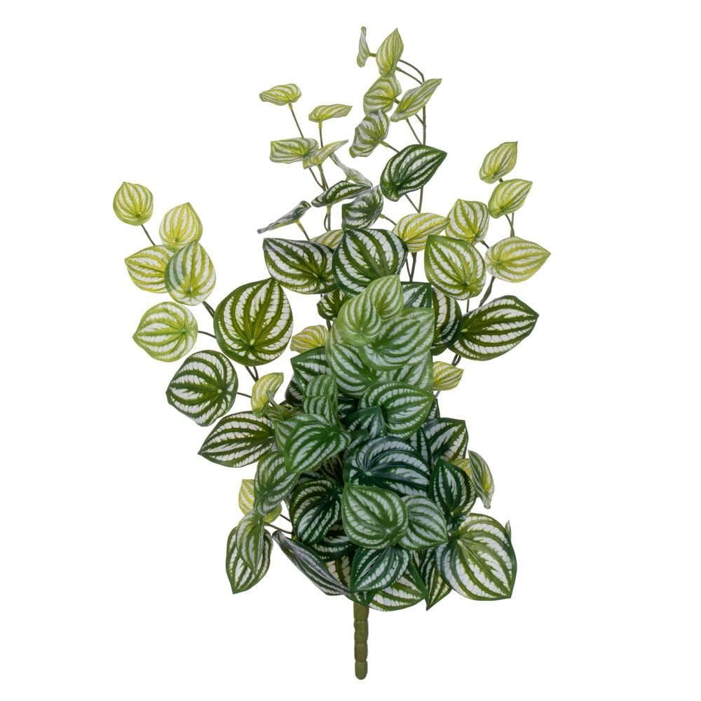 Melancia artificial Vickerman 64 cm Peperomia Green Bush