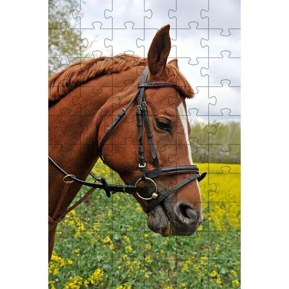 Kit 2 Quebra-cabeça Inclusivos Beleza De Cavalos Em 60 Peças