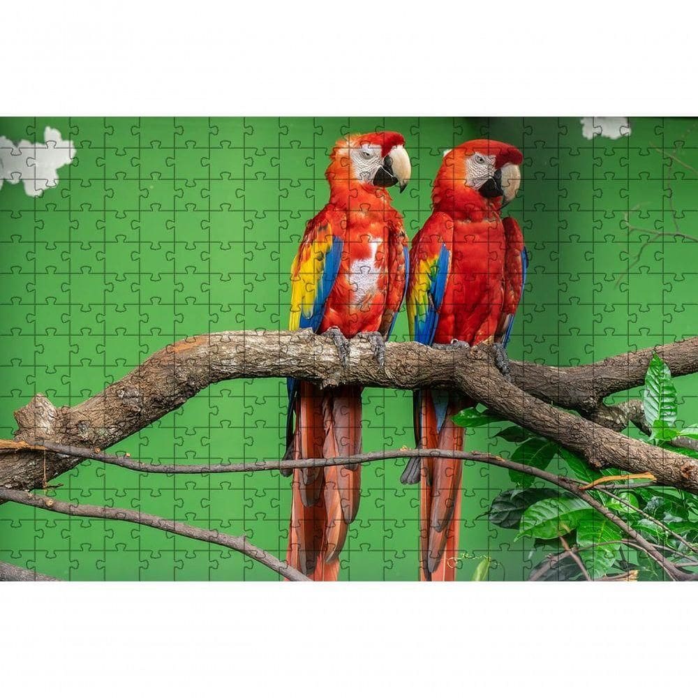 Quebra-cabeças Araras De 60 Peças Educativo, Arte, Inclusão E Inteligência