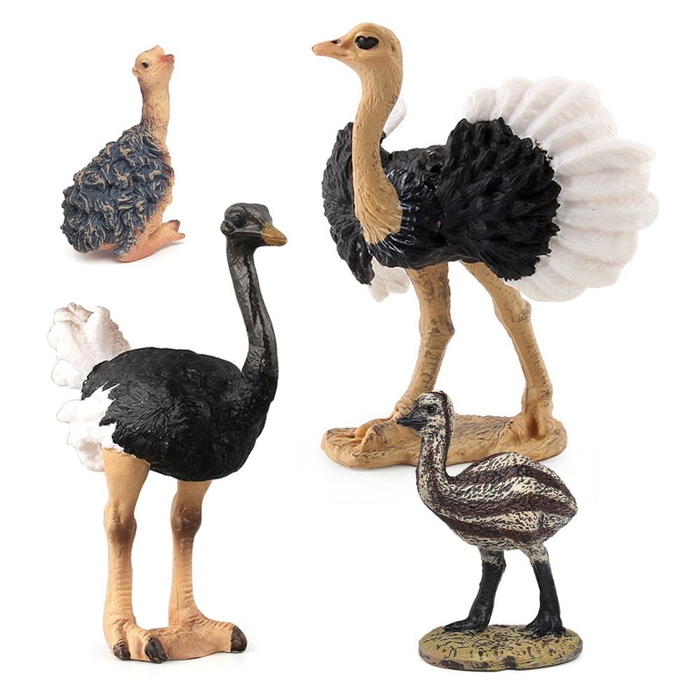 Conjunto de estatuetas realistas de avestruz em PVC africano e australiano x4