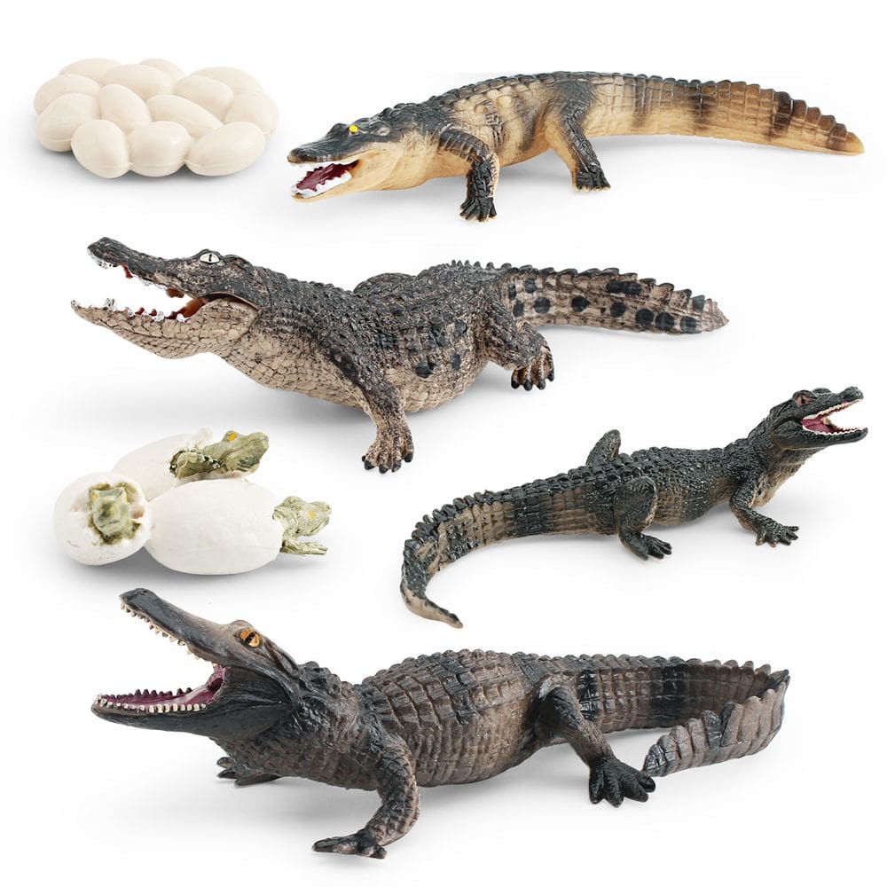 Conjunto de bonecos com ciclo de vida realista de crocodilo, 8 unidades para crianças