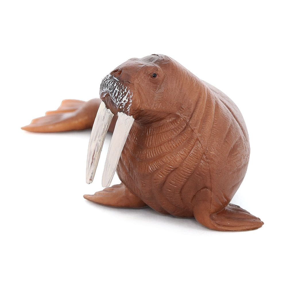 Estatueta realista de morsa em PVC, modelo de animal oceânico, 12,5 cm