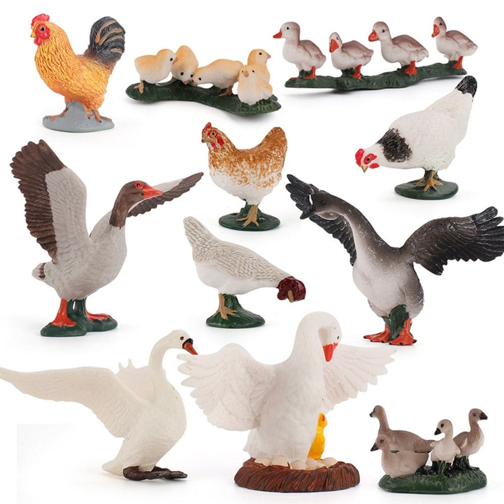 Conjunto de bonecos de pássaros de fazenda em miniatura, 11 peças de PVC para crianças +3