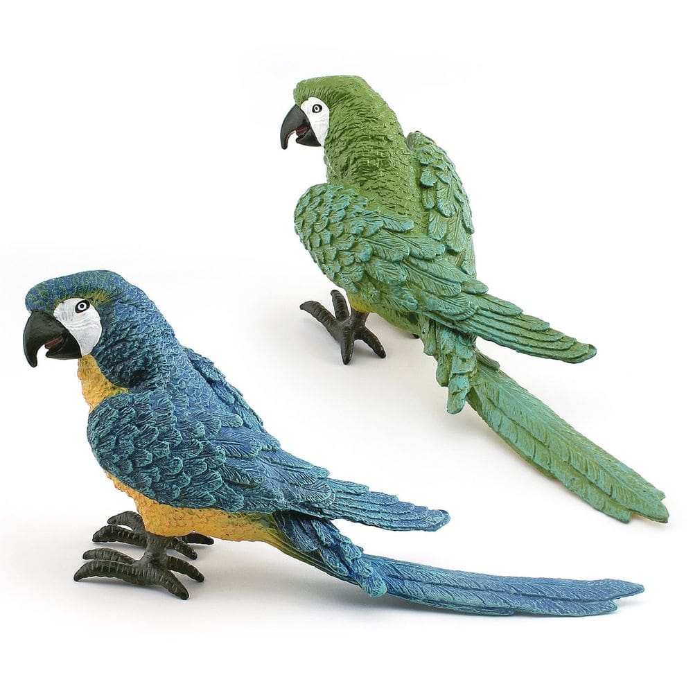 Conjunto de estatuetas realistas, papagaio de arara, PVC, modelos de pássaros para crianças