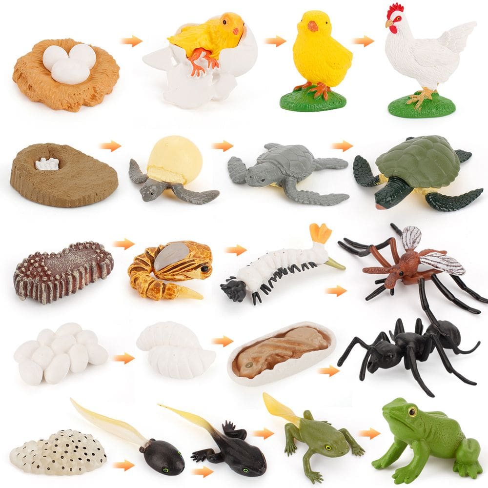 Conjunto de estatuetas Animal Life Cycle, 21 peças, modelos de PVC, brinquedos infantis