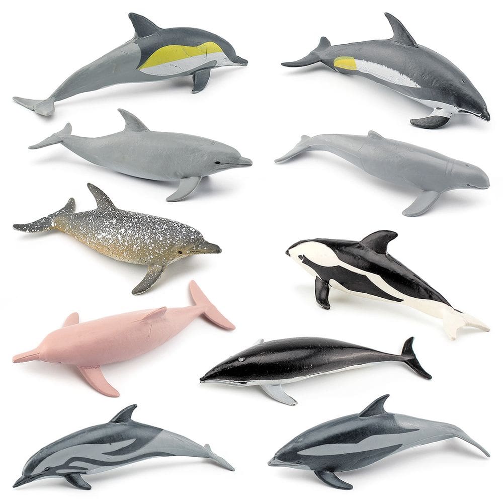Conjunto de estatuetas Dolphin, 10 peças realistas de PVC, mamíferos oceânicos para crianças
