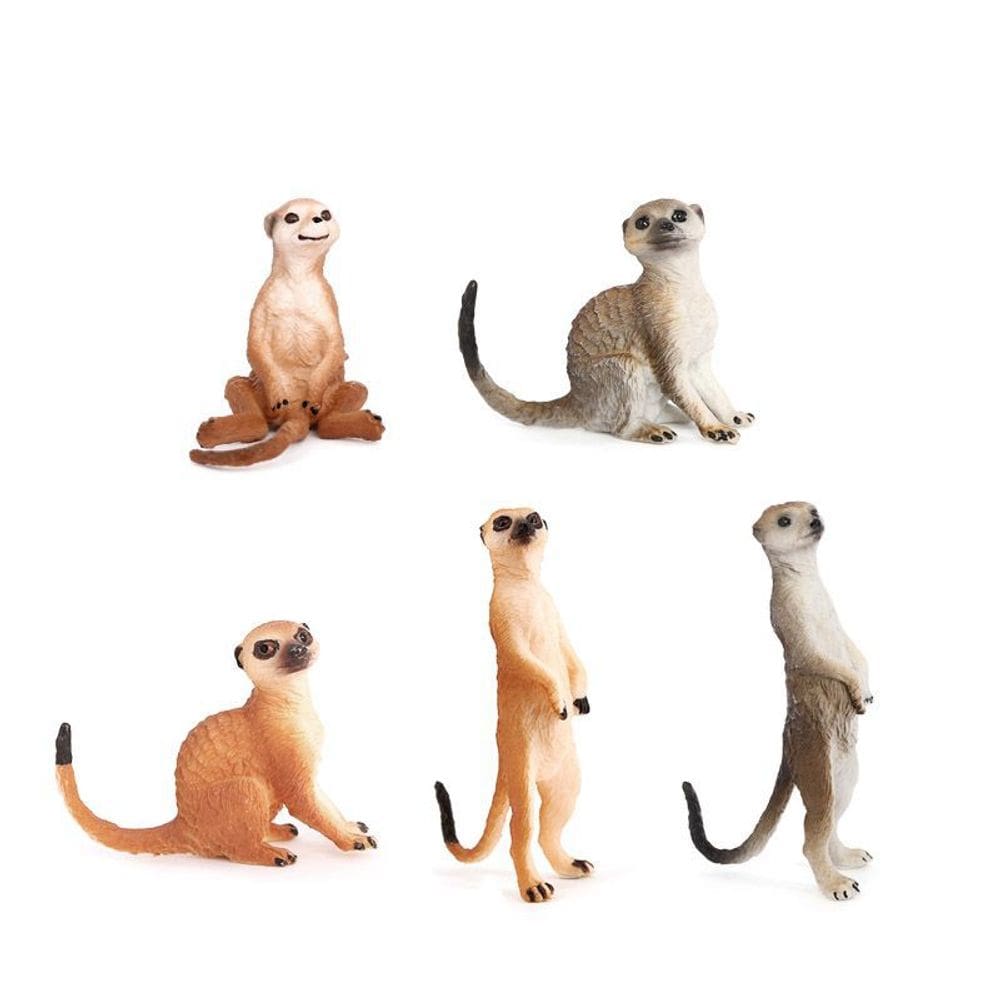 Conjunto de bonecos Meerkat de 5 peças de PVC realista Animal Kids 3+