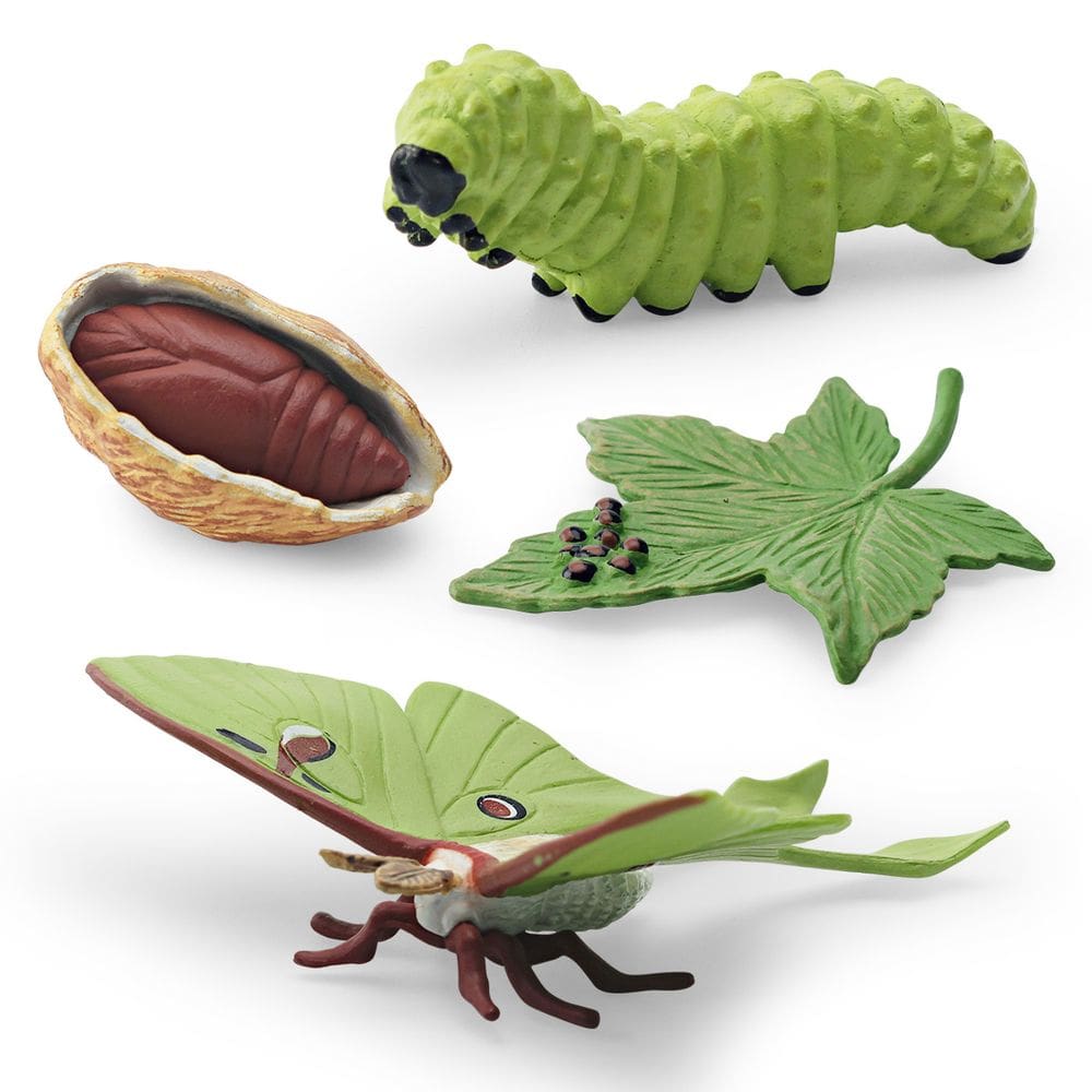 Conjunto de estatuetas, ciclo de vida realista de mariposa, 4 peças de modelos de insetos de PVC