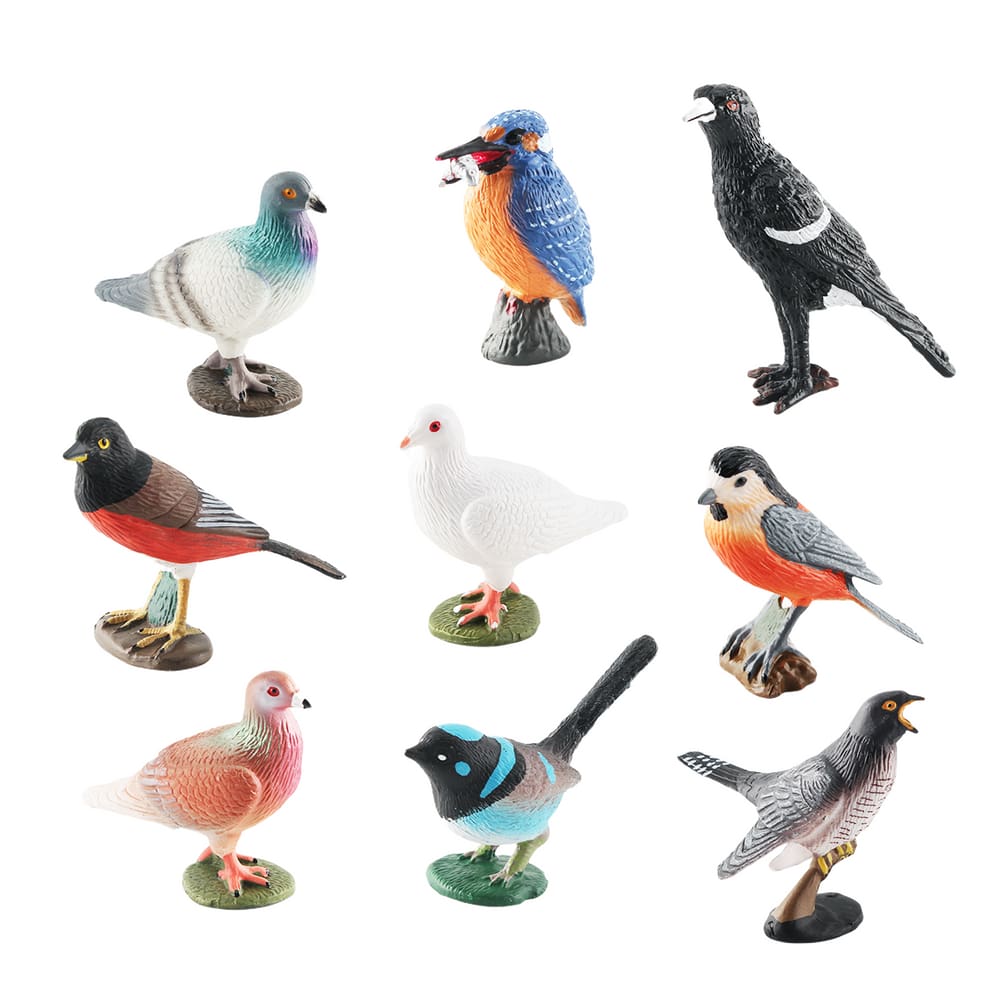 Conjunto de estatuetas de pássaros, 9 peças realistas de PVC, modelos de pássaros selvagens para crianças