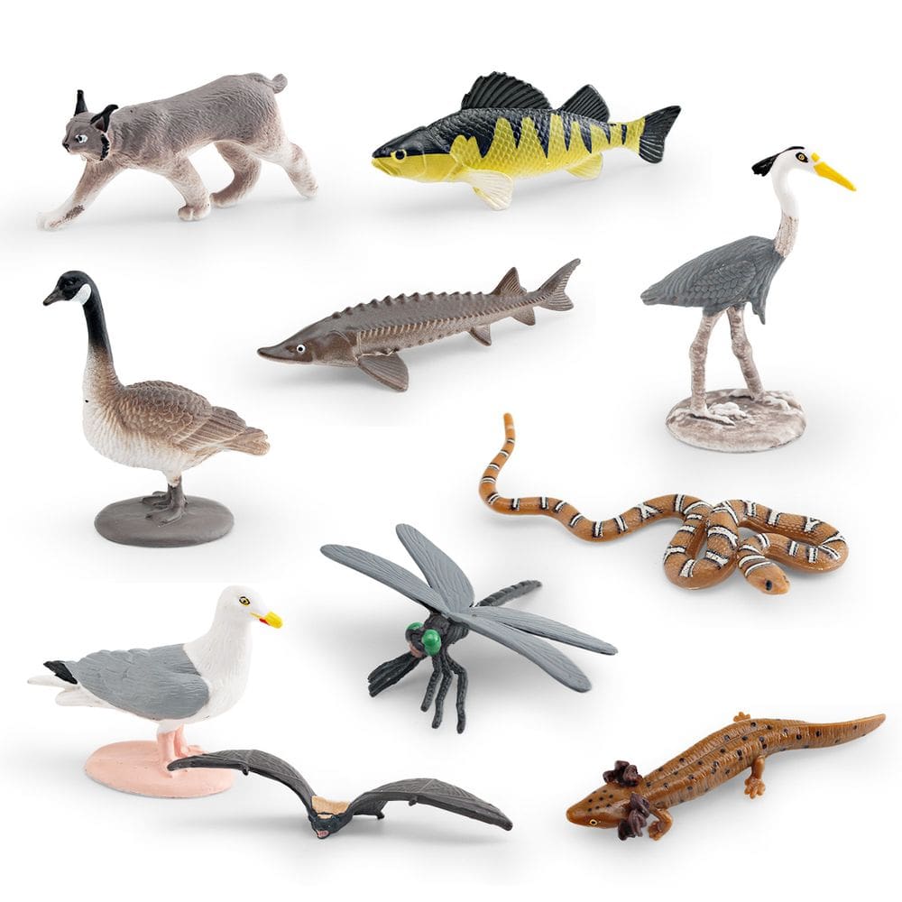 Conjunto de estatuetas North American Wildlife, 10 peças de brinquedo infantil em PVC