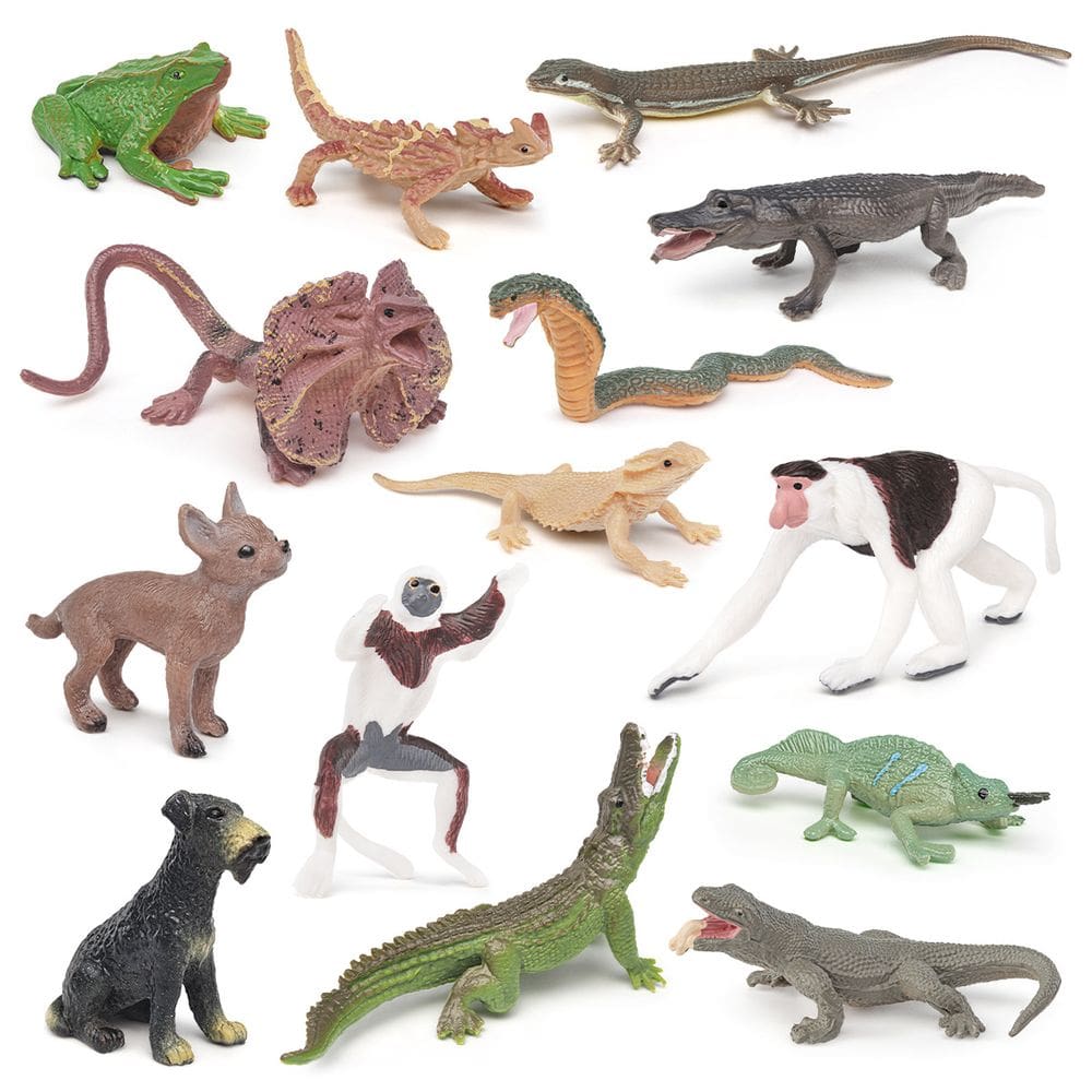 Conjunto de figuras de animais selvagens de 14 peças, modelos de PVC Chihuahua