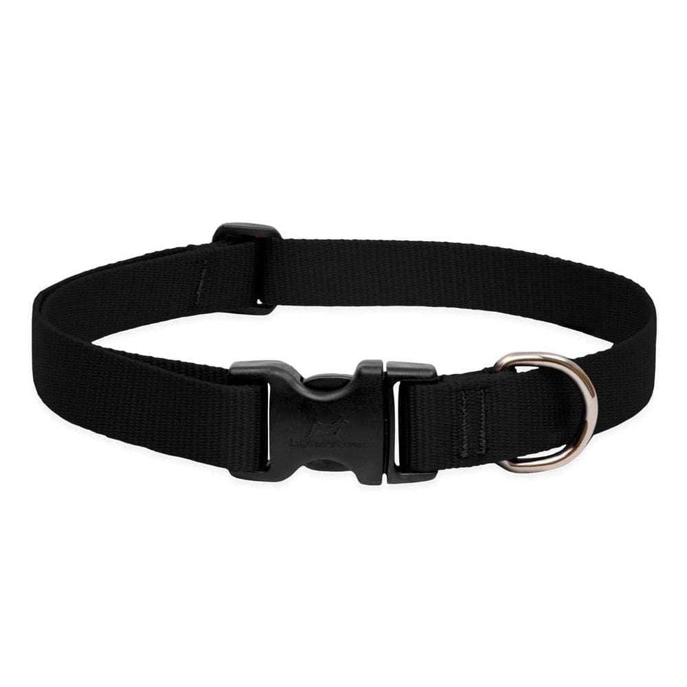 Coleira para cães LupinePet Basics ajustável 41-71 cm preta