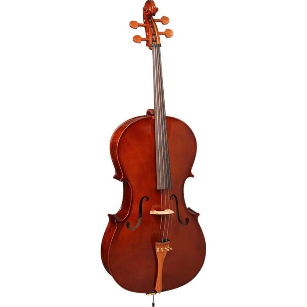 Violoncelo 4/4 Hofma Hce100