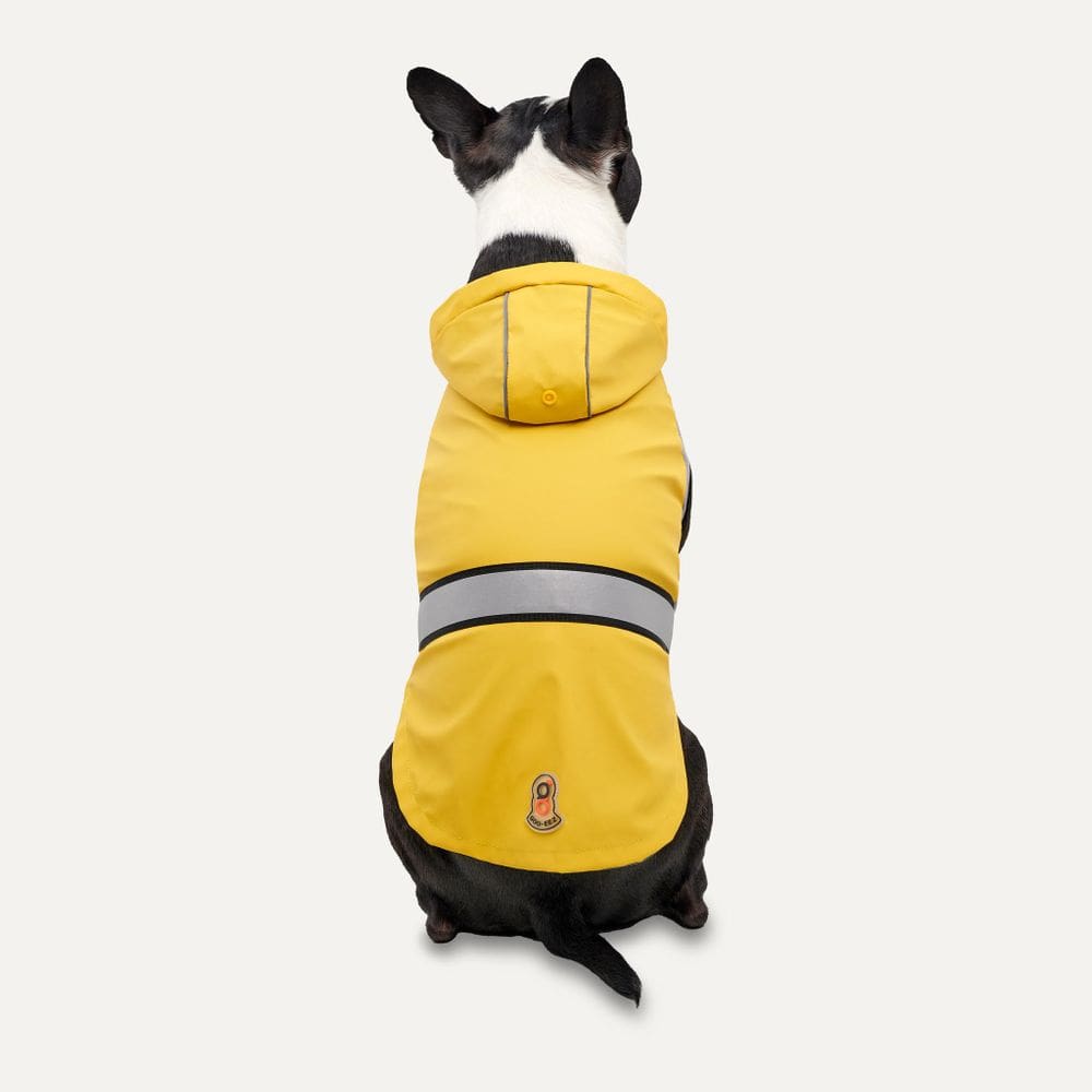 Capa de chuva refletiva com capuz GOO EEZ para cães amarela M