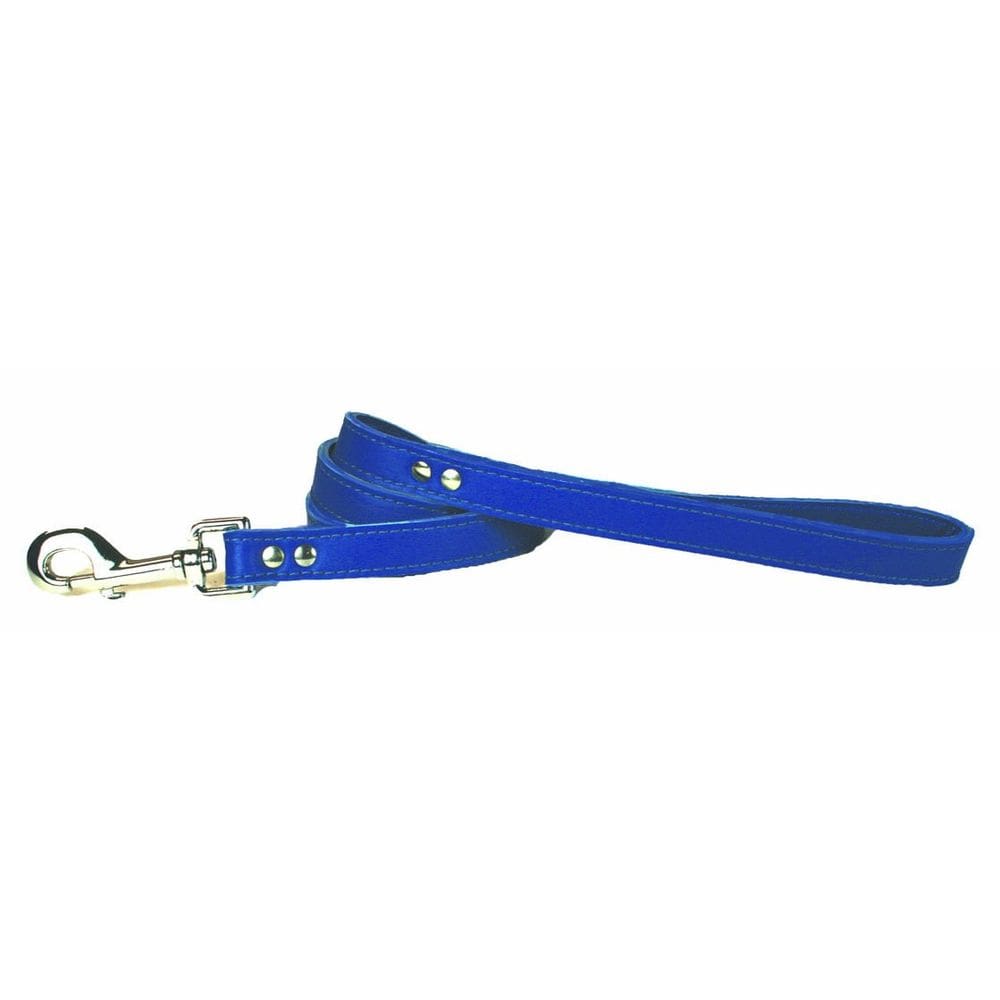 Coleira para cães OmniPet 6075-BL de couro azul 2cm x 1,2 m