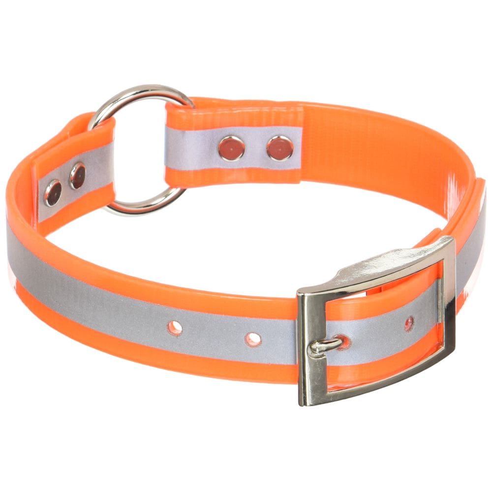 Coleira para cães OmniPet SunGlo Reflective Orange com 2,5 cm de largura
