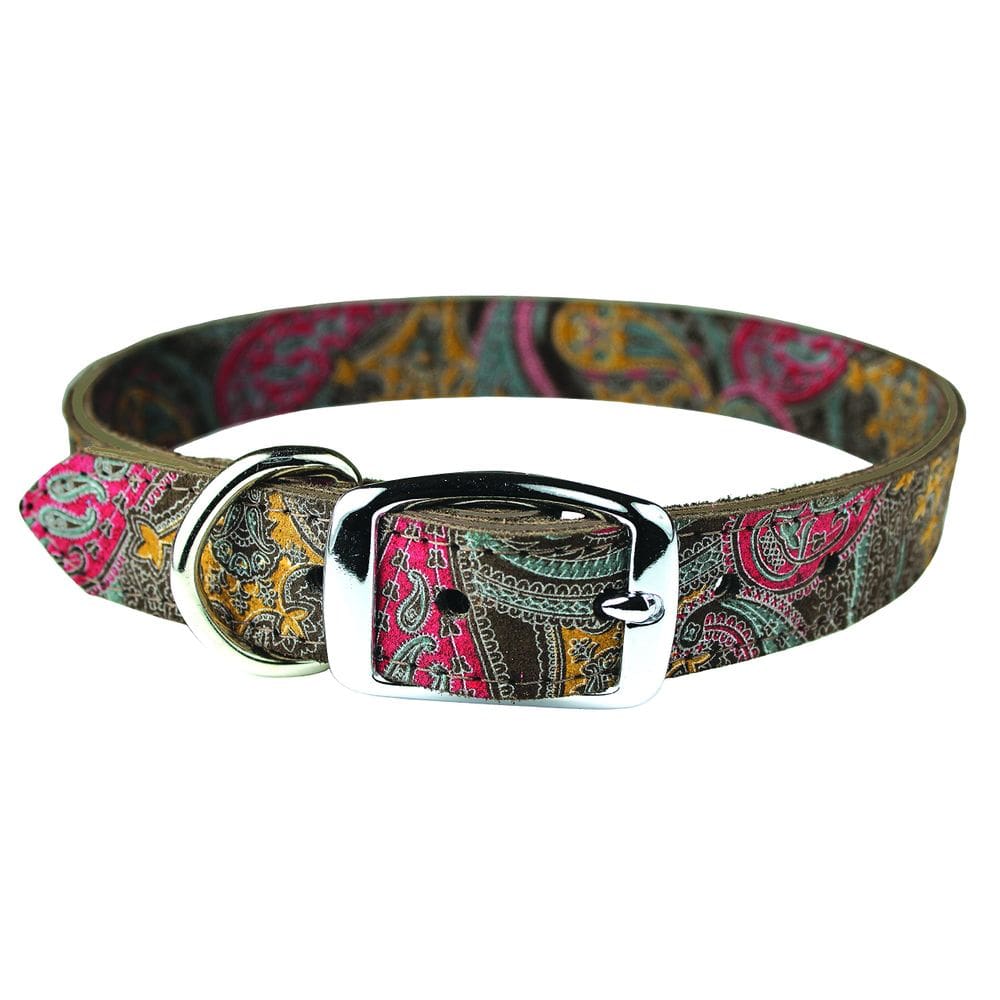 Coleira para cães OmniPet 6246-CH14 Paisley Leather 36 cm