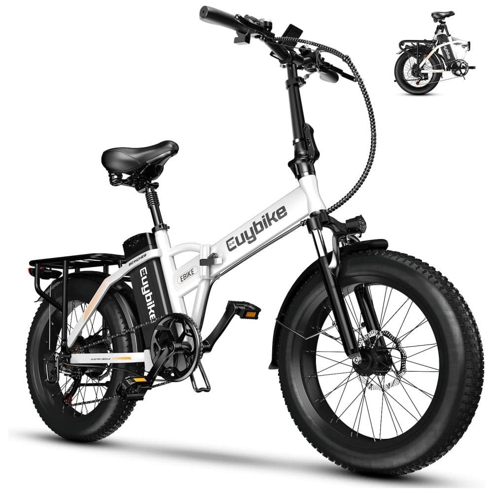 Bicicleta Elétrica Dobrável bluebiko F6B com Motor Brushless 750W (Pico 1000W), Bateria Removível 48V 20Ah, Freios a Disco Duplos e Sistema