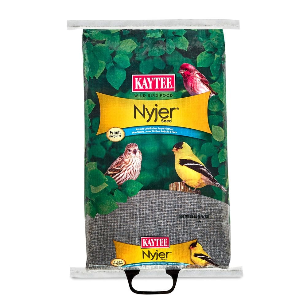 Comida para pássaros Kaytee Nyjer Seed 9,1 kg