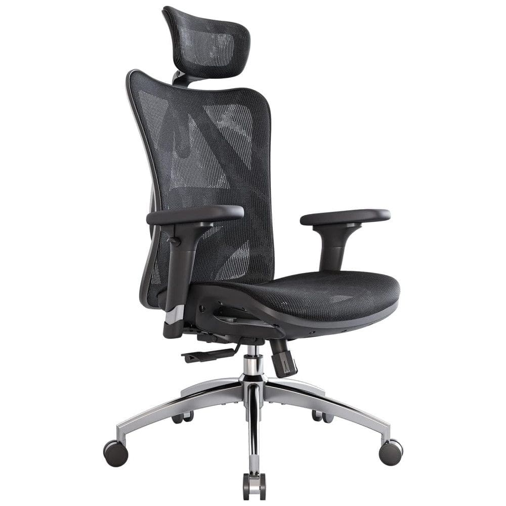 SIHOO Cadeira de Escritório Ergonômica Ajustável c, Apoio de Braço 3D e apoio Lombar