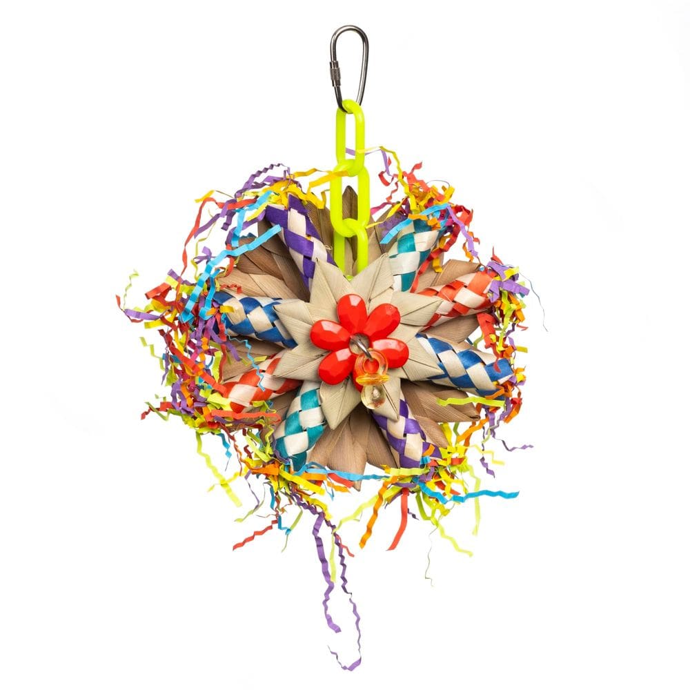 Bird Toy Prevue Pet Products Preening Wheel Playfuls Preen & Pacify