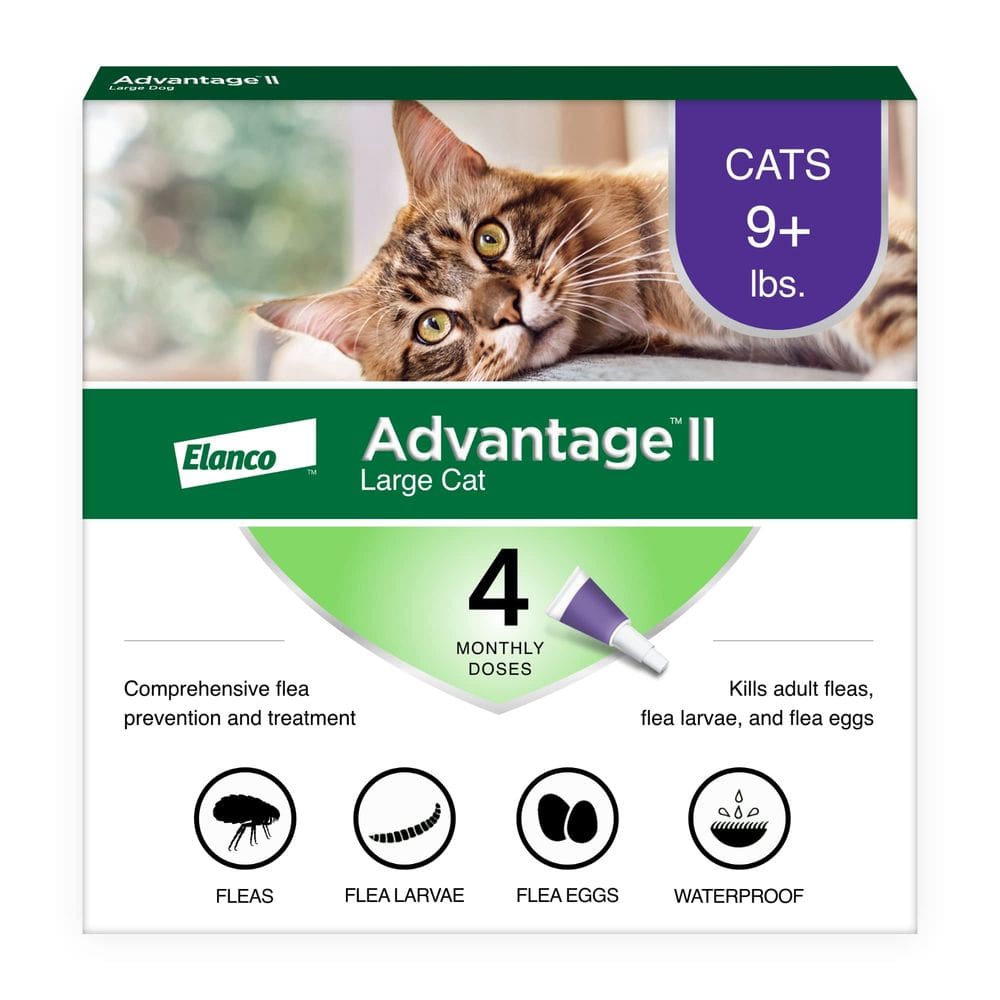 Tratamento e prevenção de pulgas Advantage II Large Cat 9lbs+