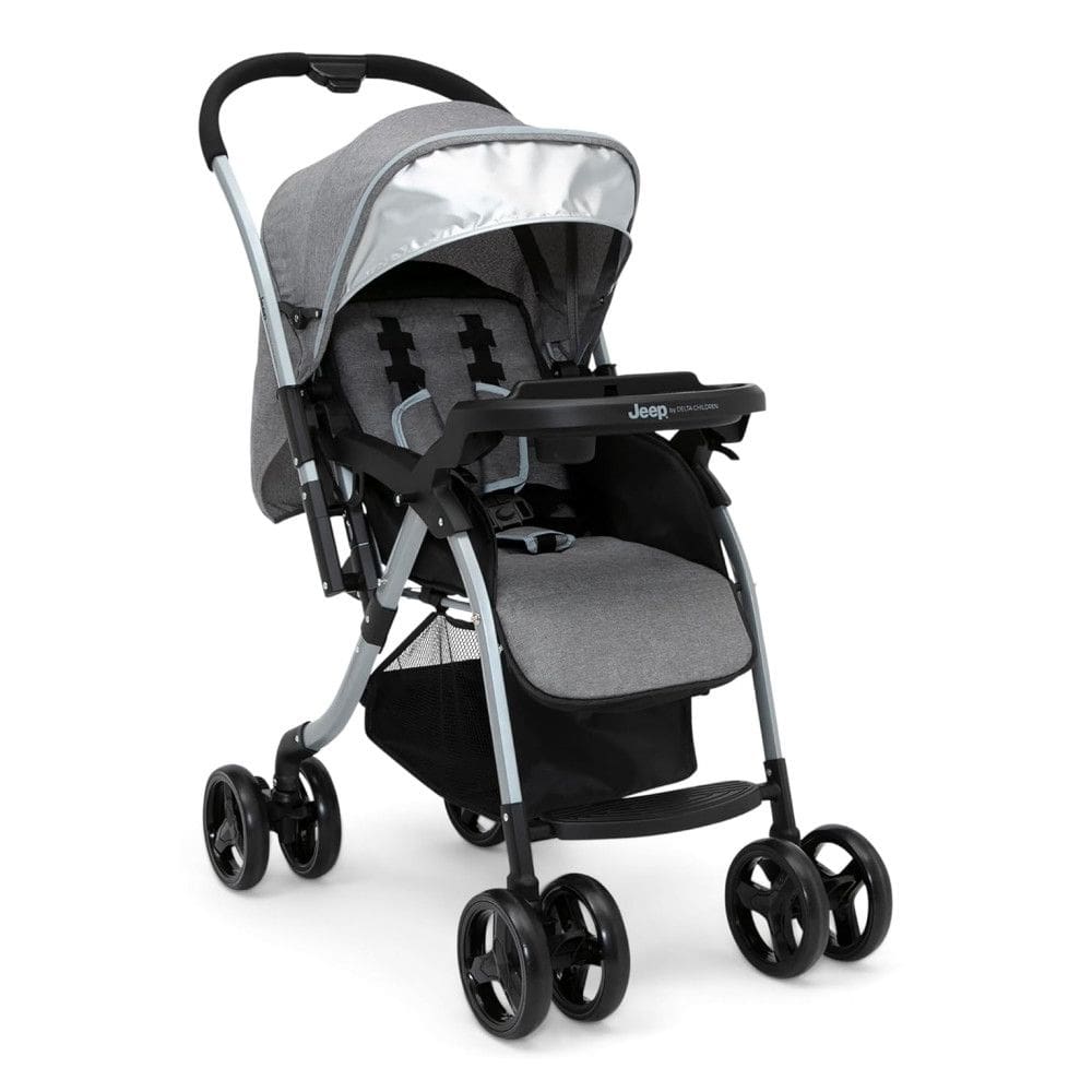 Carrinho de Bebê para Passeio com Alça Reversível, Delta Children, Cinza