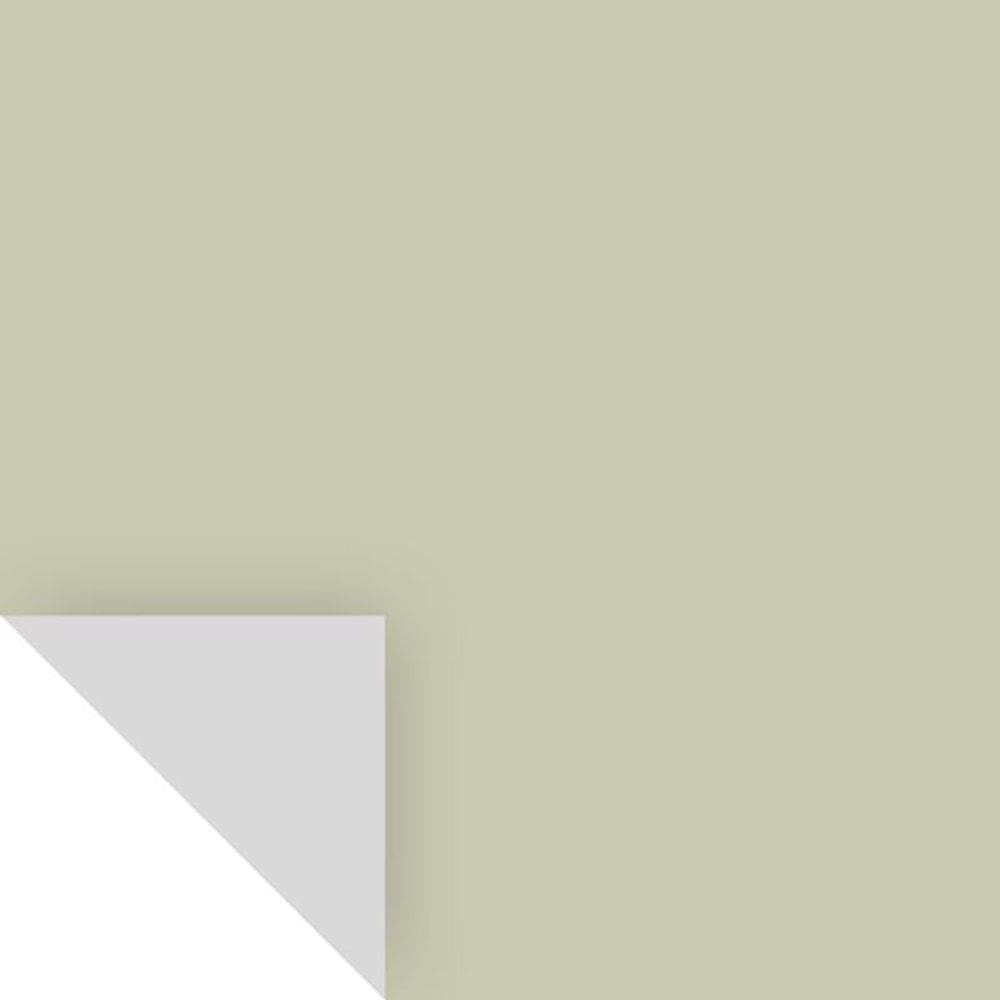 Paint SAMPLIZE Peel&Stick Soft Fern