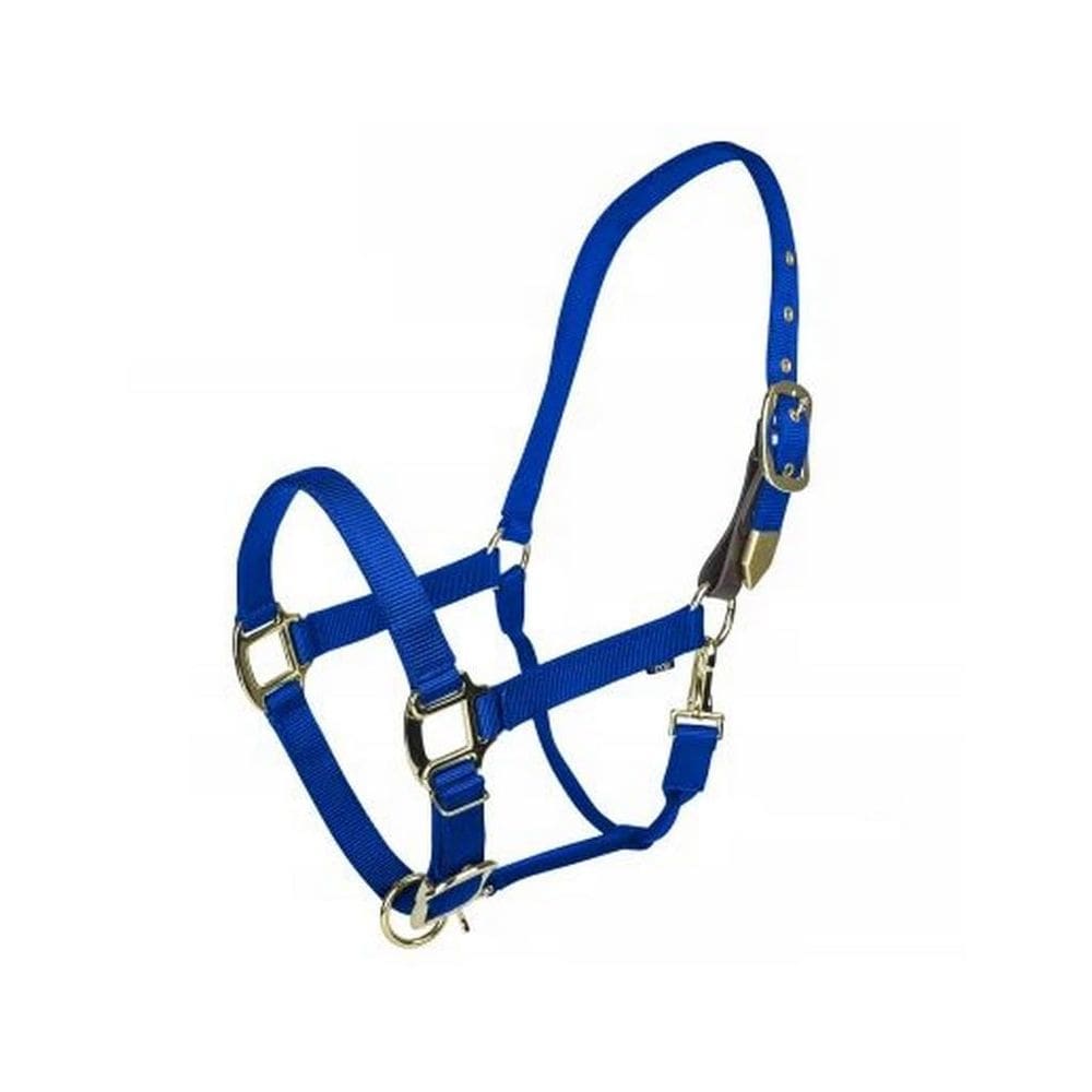 Safety Breakaway Halter Gatsby Gold Cob Blue