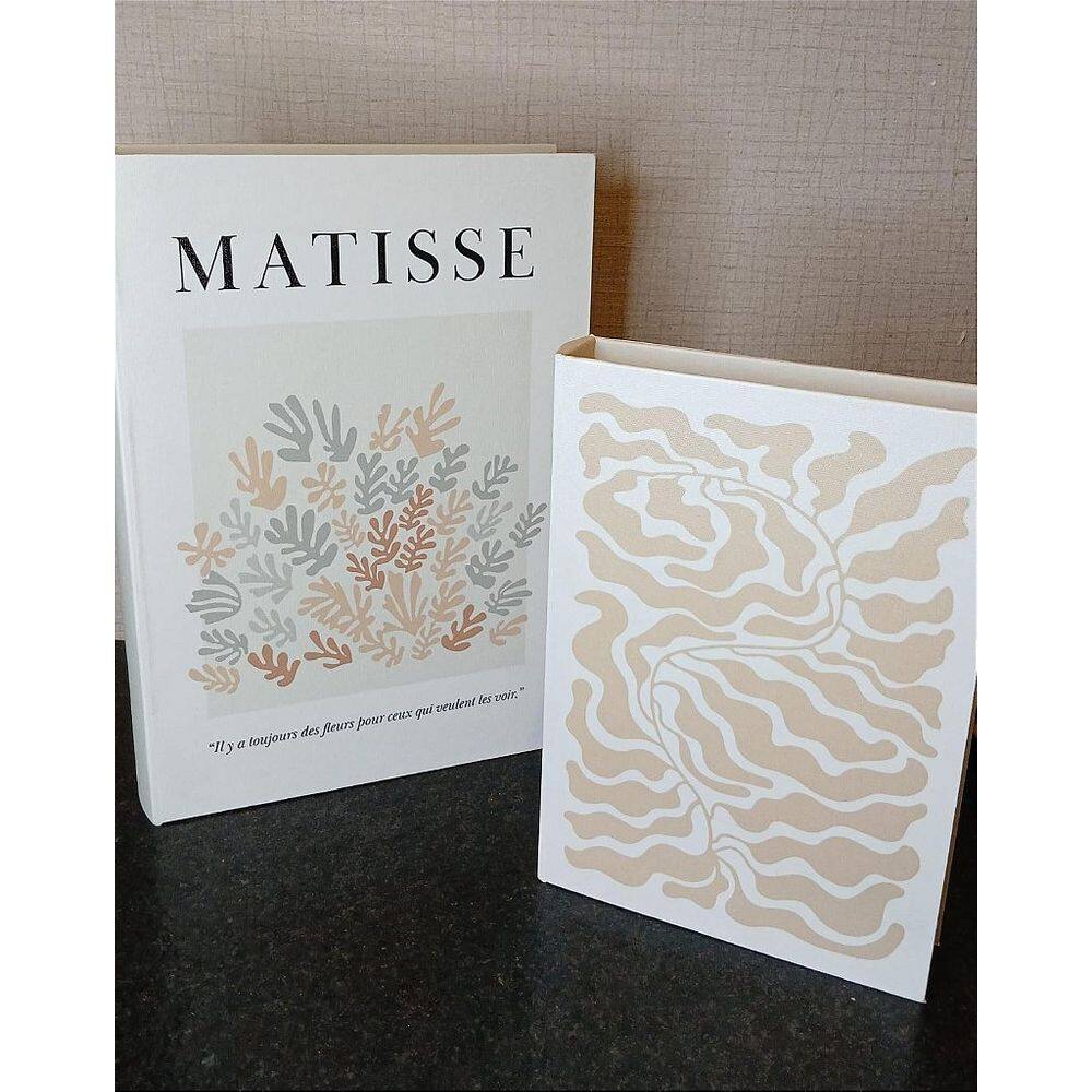 Kit Livros Caixas Matisse - 2 peças