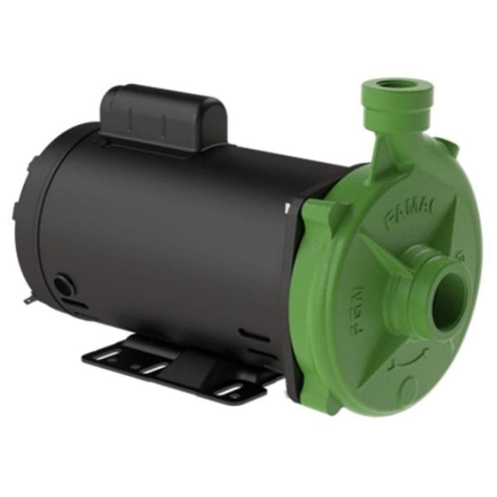 Motobomba Centrífuga Fgn-4 2,0cv 3500rpm Monofásico Famac