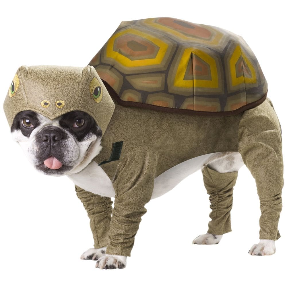 Fantasia de cachorro California Costumes Tortoise Animal Planet XS
