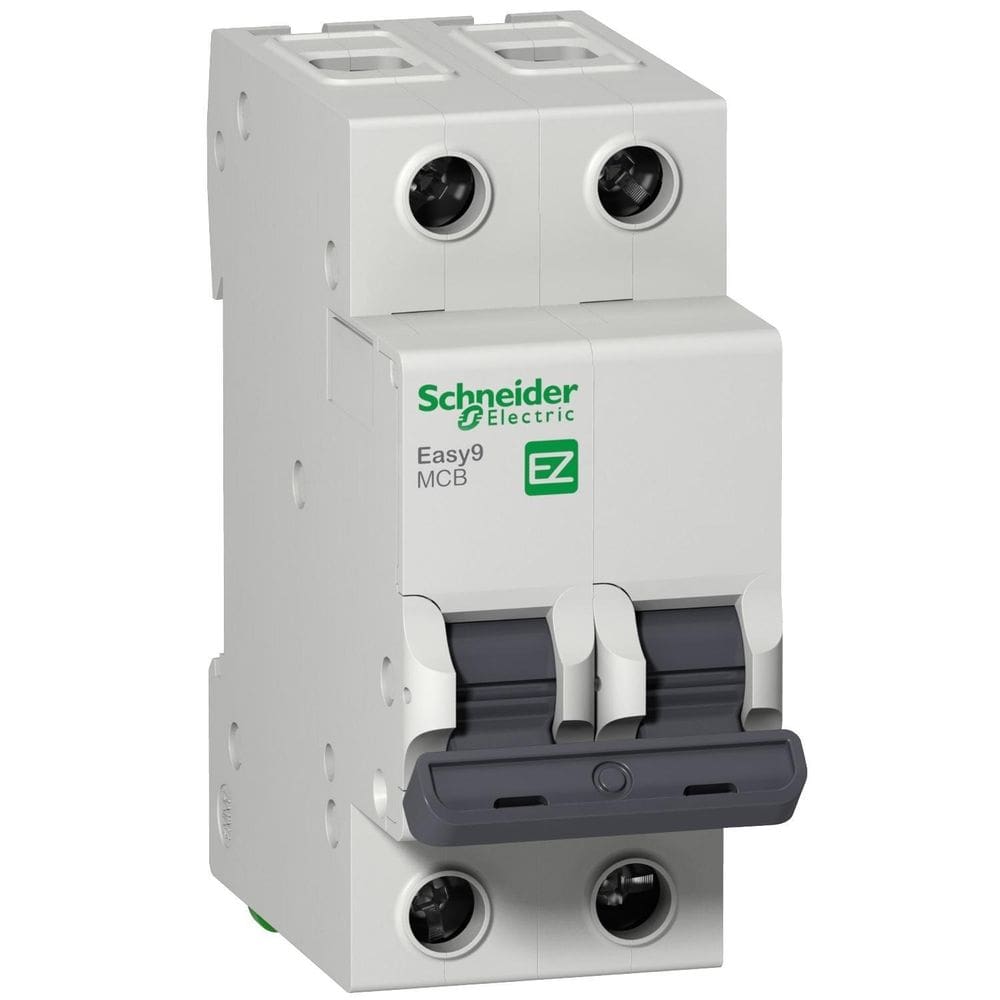 Mini Disjuntor Bipolar 10A Curva C Ez9F56210 Schneider