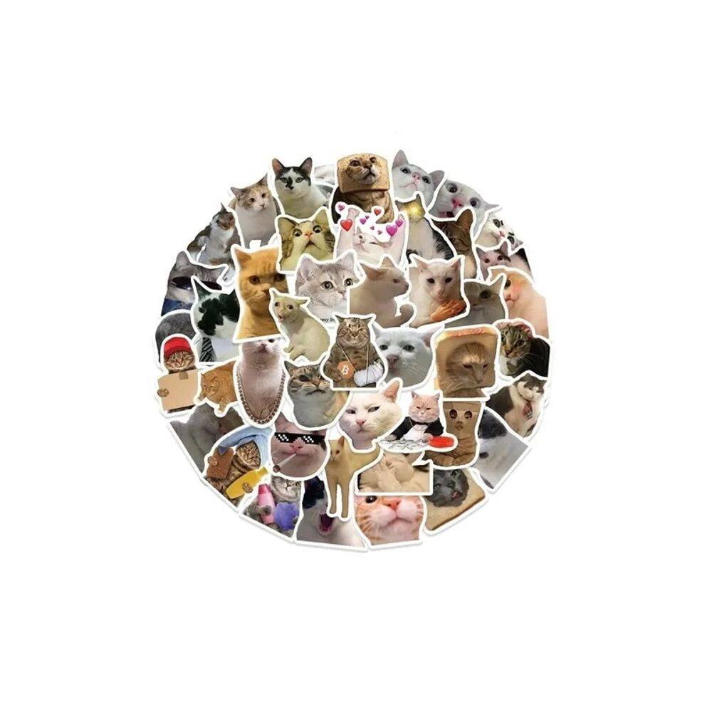 Adesivos 50 etiquetas autoadesivas Kitten Michnis Cats de 5 a 8 cm