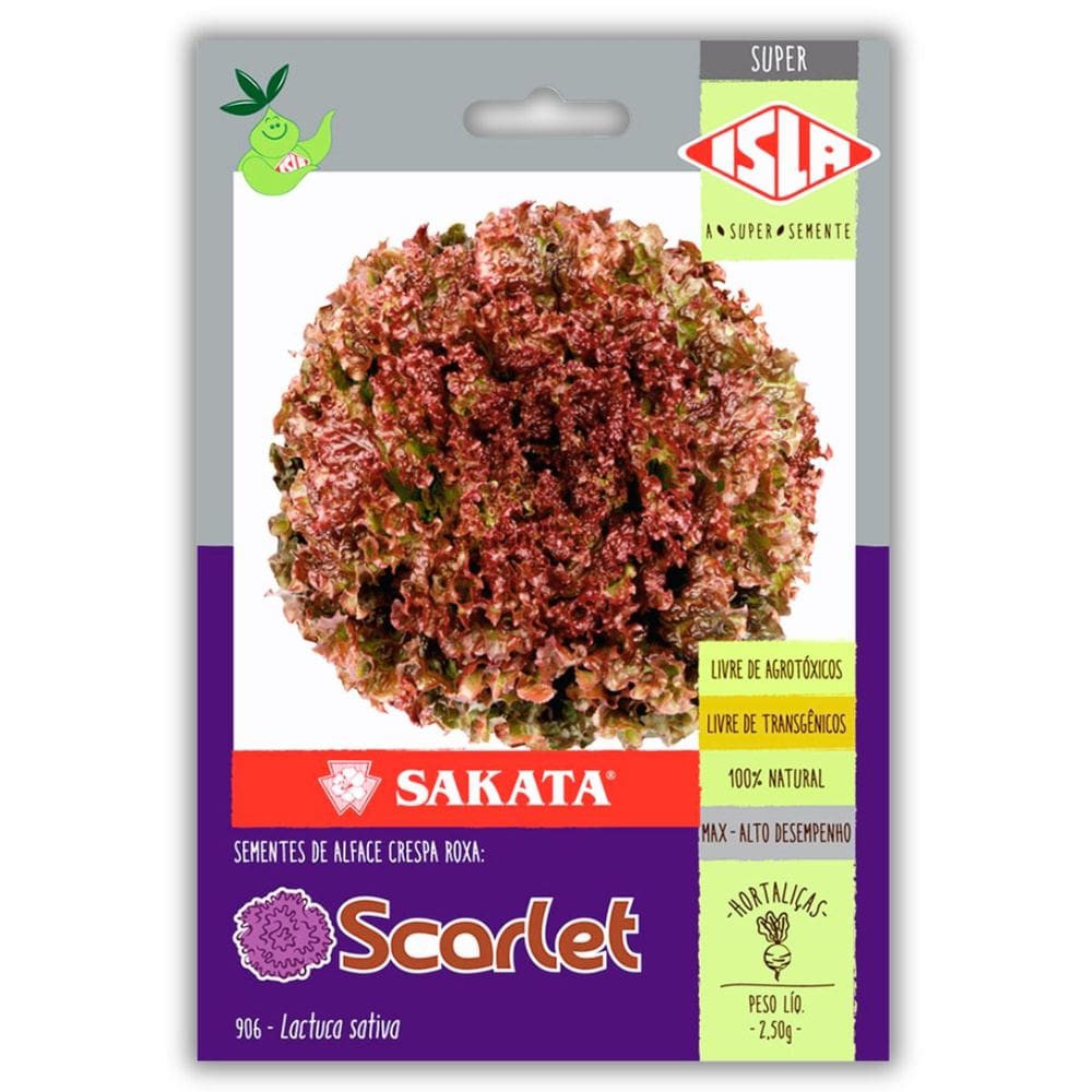 Semente Alface Crespa Roxa Scarlet Super ISLA