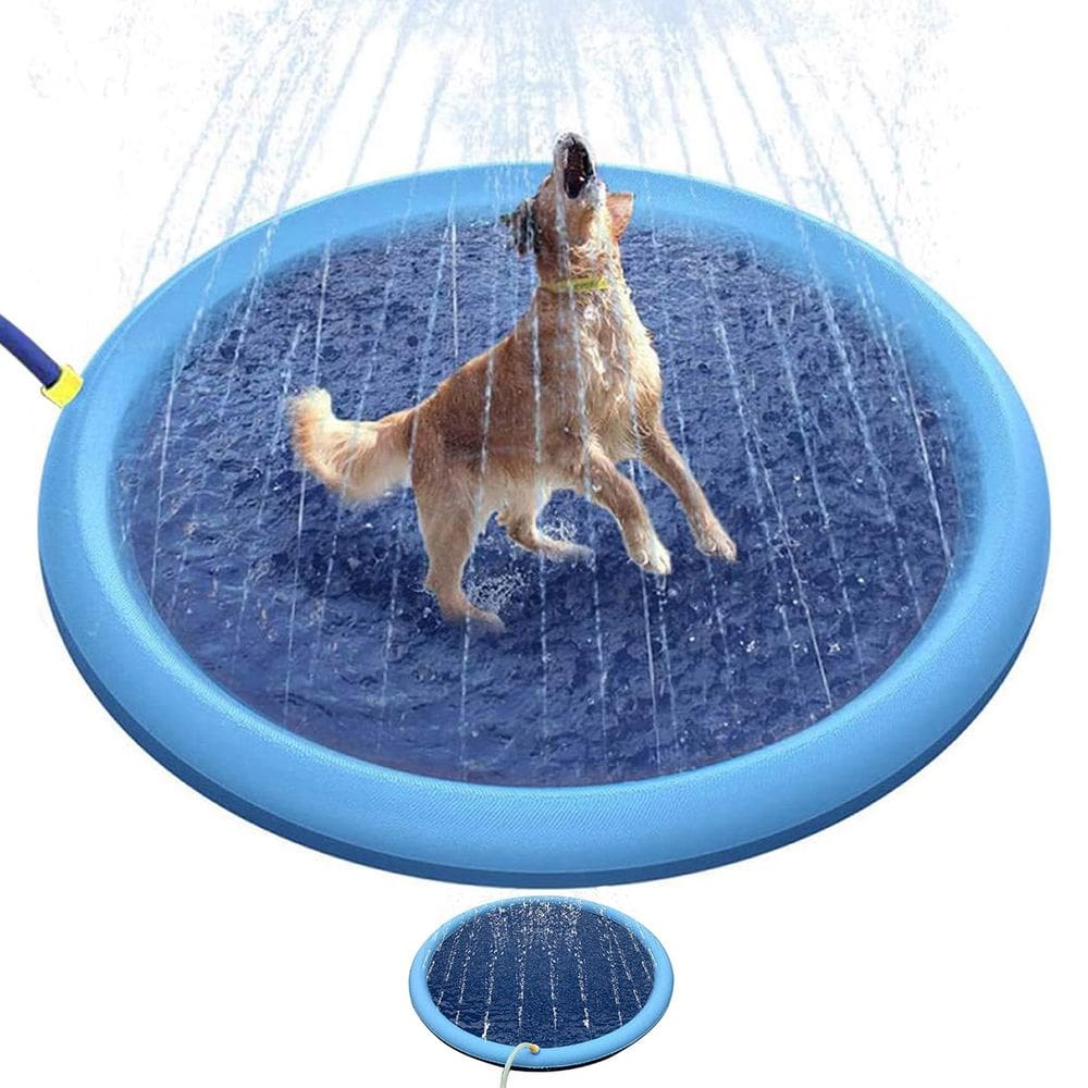 Piscina Tapete Chafariz Inflavel Pet Cachorro Animais Criança Brincadeira Divertida Verao Sol Veraneio