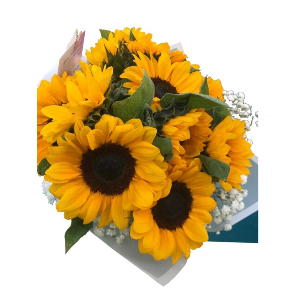 Buquê de 8 girassóis e flores de gipsófilas