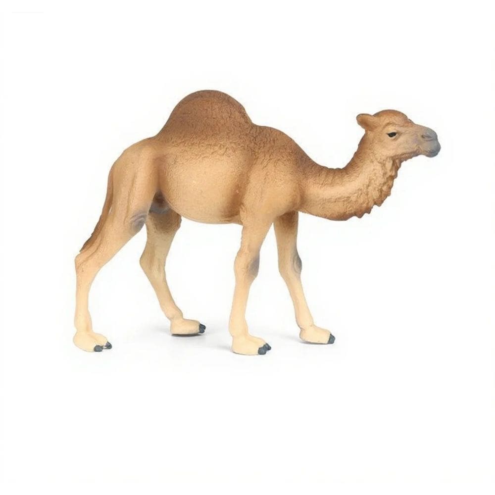 Estatueta realista Camel Desert Wild Animal Model Kids 13,5 cm