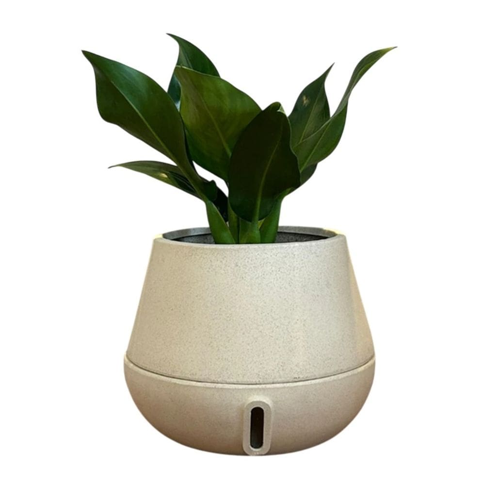 Vaso Inteligente Brota Cuia M Autoirrigável Decoração Planta