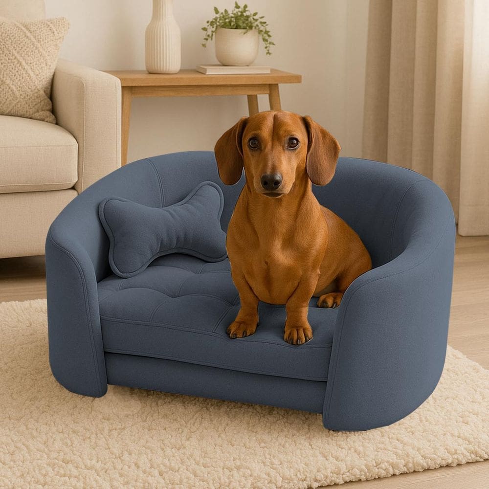 Poltrona Cama Pet Luxo Mell Veludo Premium Para Cães E Gatos Grafite
