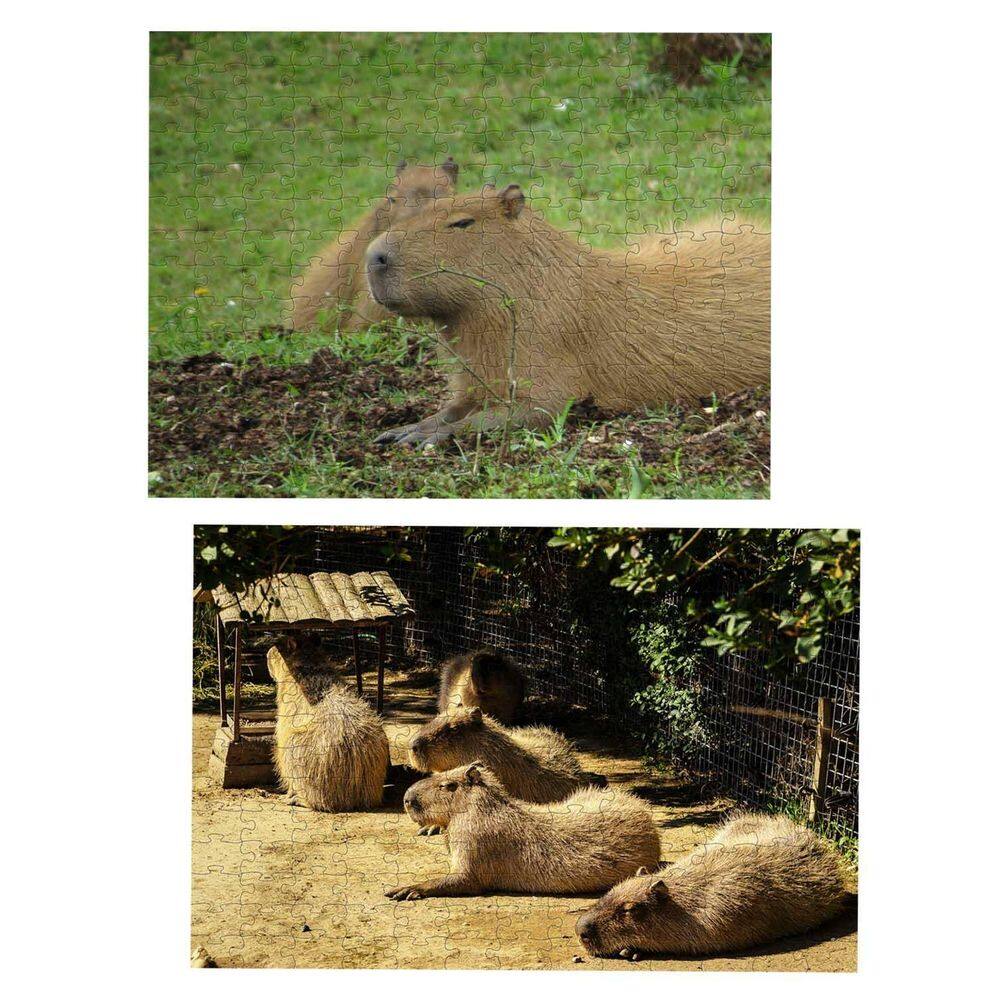 Kit 2 Quebra-Cabeças Animais Capivaras De 60 Peças