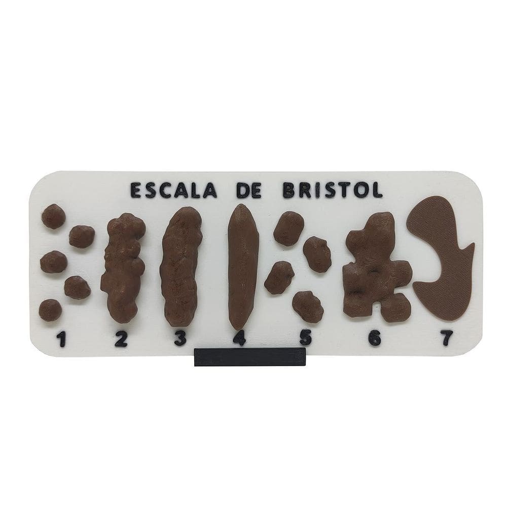 Escala De Bristol Com Suporte Tabela Fezes Cocô 3D Números