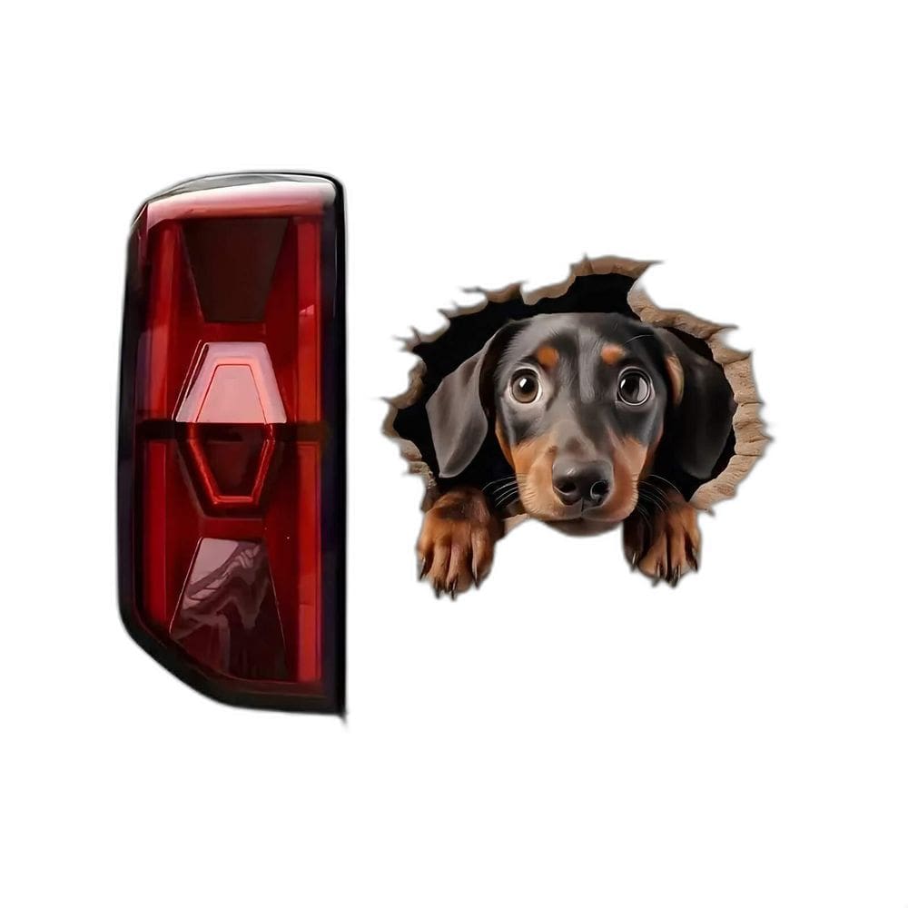 Adesivo De Carro Dachshund