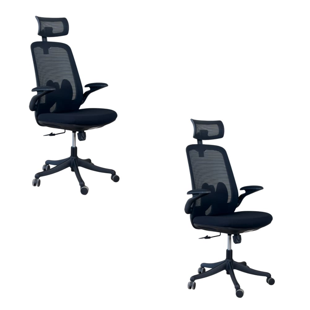 Kit 2 Cadeiras de Escritório Oficial Royale Apoio